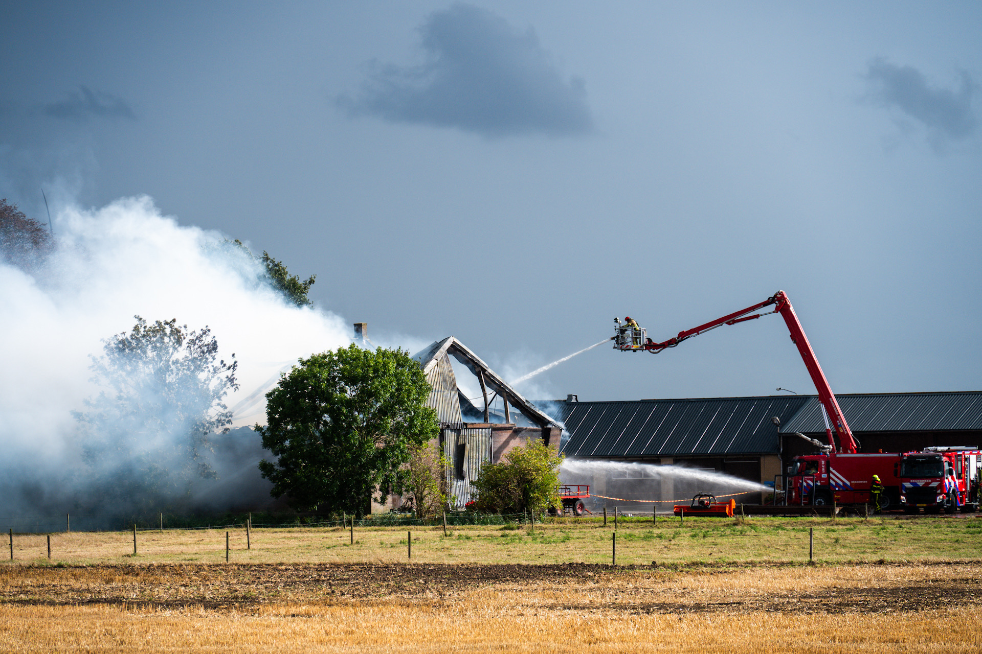 Uitslaande brand in stal in Zevenbergen, vijf stieren niet meer te redden