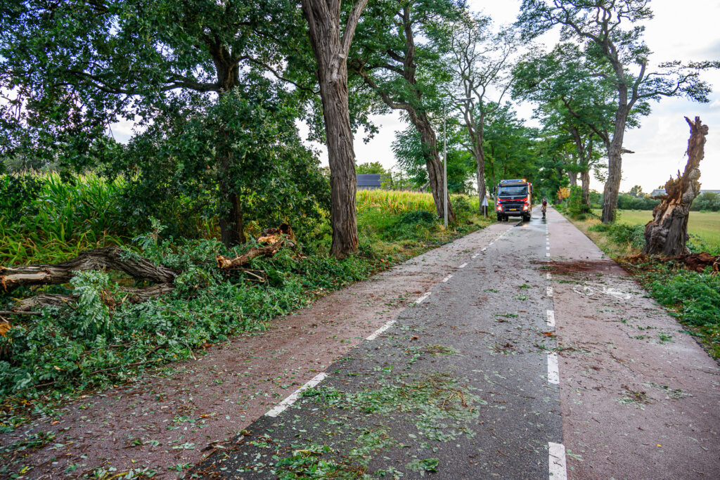 Flink aantal bomen omgewaaid door slecht weer in Achtmaal