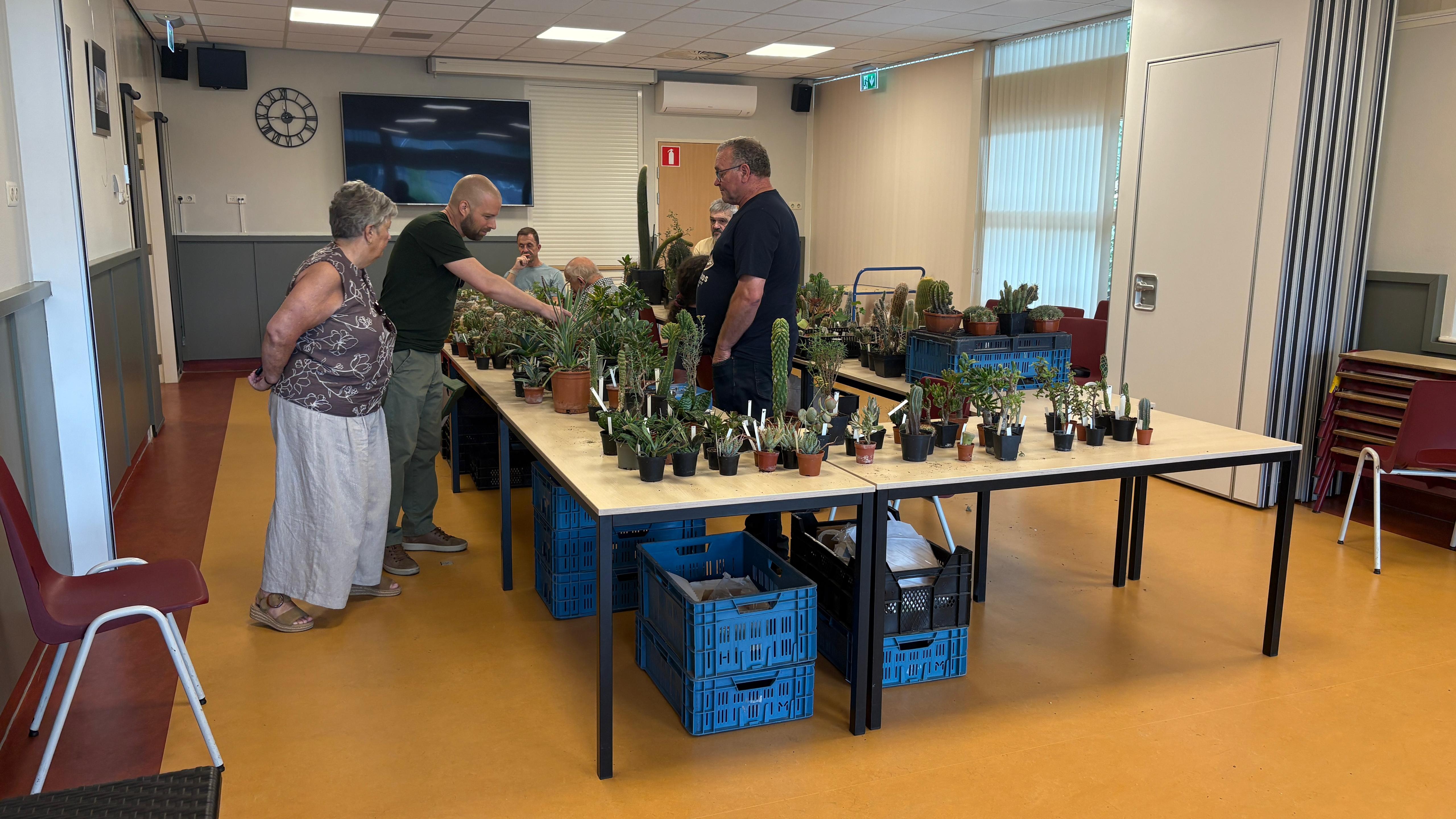 Vergrijzing heerst bij cactusclub, toch blijft jaarlijkse beurs vaste prik