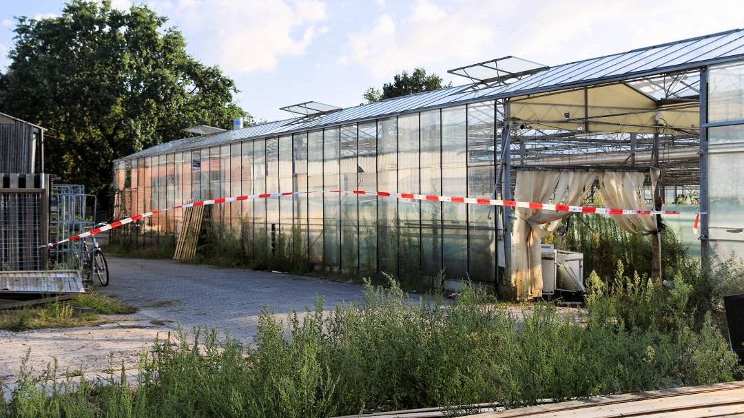 Twee aanhoudingen na vondst Bergs drugslab en stashlocatie in Tholen